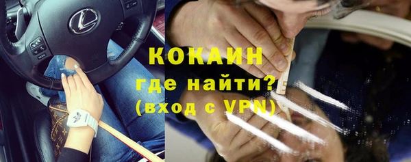 крисы Алексин