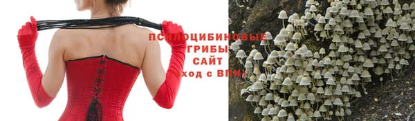 крисы Алексин