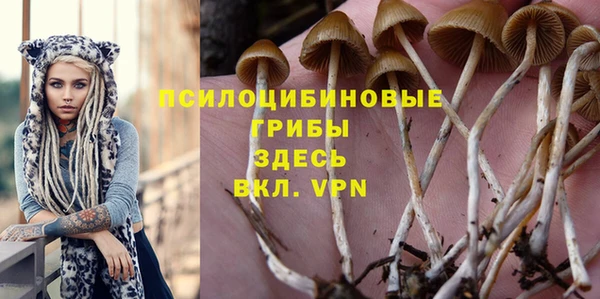 крисы Алексин