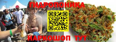 стаф Кунгур